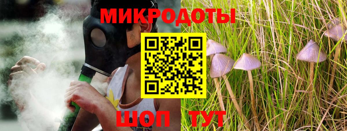 Ефремов  купить наркотики сайты  Вход с VPN  Галлюциногенные грибы GOLDEN TEACHER  Галлюциногенные грибы GOLDEN TEACHER 